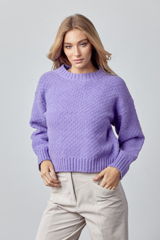 Lavender Seed Knit Crop Pullover