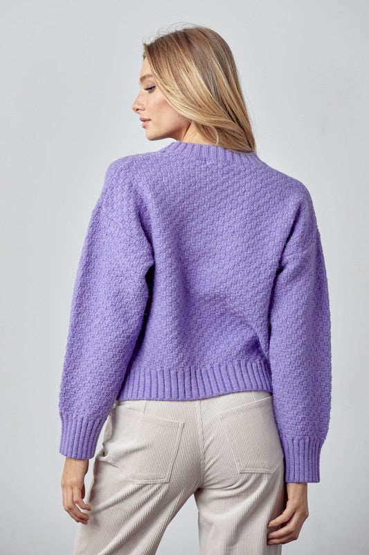 Lavender Seed Knit Crop Pullover