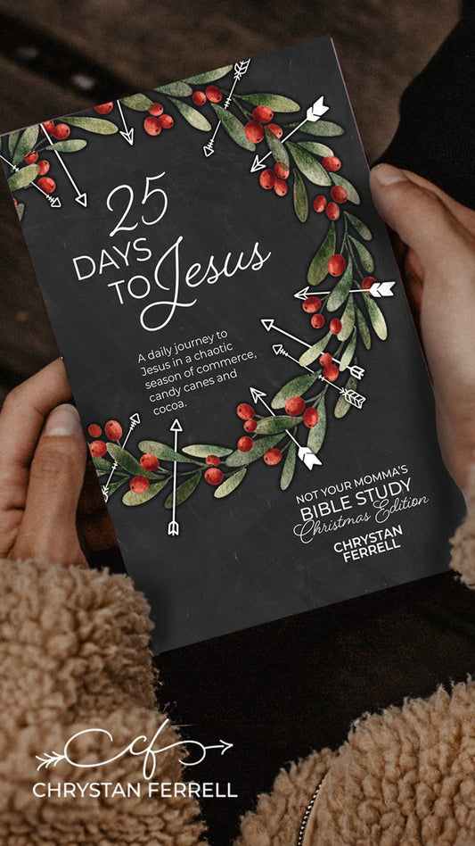 25 Days to Jesus Bible Study Book